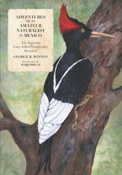 Adventures of an Amateur Naturalist in Mexico: The Imperial Ivory-billed Woodpecker, Revisited - Bruce, Todd; Winton, George B.
