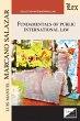 FUNDAMENTALS OF PUBLIC INTERNATIONAL LAW - Bild 1