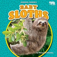 Baby Sloths - Shanley, Margaret