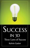 Success in 3D: Three Laws of Success