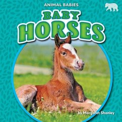 Baby Horses - Shanley, Margaret