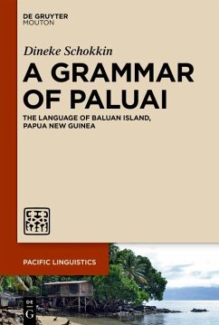 A Grammar of Paluai (eBook, ePUB) - Schokkin, Dineke