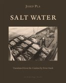 Salt Water (eBook, ePUB) Salt Water (eBook, ePUB)