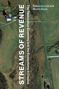 Streams of Revenue (eBook, ePUB) - Lave, Rebecca; Doyle, Martin