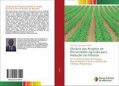 Eficácia dos Projetos de Microcrédito Agrícola para Redução da Pobreza