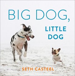 Big Dog, Little Dog (eBook, ePUB) - Casteel, Seth