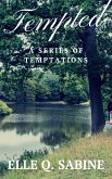 Tempted: A Series of Temptations (eBook, ePUB)
