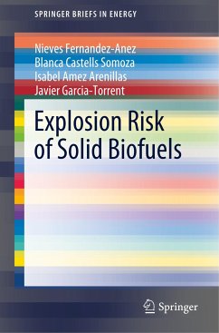 Explosion Risk of Solid Biofuels - Fernandez-Anez, Nieves;Castells Somoza, Blanca;Amez Arenillas, Isabel