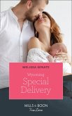 Wyoming Special Delivery (eBook, ePUB)