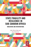 State Fragility and Resilience in sub-Saharan Africa (eBook, PDF)
