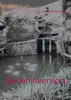 Seeleninversion (eBook, ePUB)