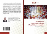 Champignons entomopathogènes, Metarhizium anisopliae Champignons entomopathogènes, Metarhizium anisopliae