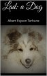 Lad: A Dog (eBook, ePUB) - Bild 1