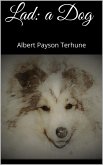 Lad: A Dog (eBook, ePUB)