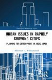 Urban Issues in Rapidly Growing Cities (eBook, ePUB)