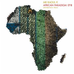 African Paradigm Ep 3 - Mr Raoul K/Fierro,Pablo