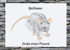 Balthasar findet einen Freund (eBook, ePUB)