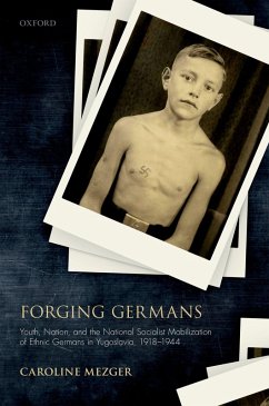 Forging Germans (eBook, PDF) - Mezger, Caroline