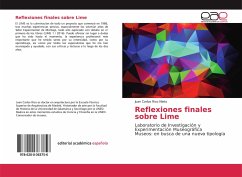 Reflexiones finales sobre Lime - Rico Nieto, Juan Carlos