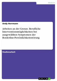 Arbeiten an der Grenze. Berufliche Interventionsmöglichkeiten bei ausgewählten Symptomen der Borderline-Persönlichkeitsstörung - Herrmann, Andy