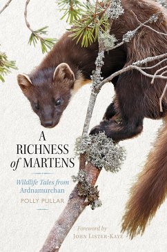 A Richness of Martens (eBook, ePUB) - Pullar, Polly