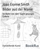 Bilder aus der Manie (eBook, ePUB)