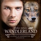Wandlerland, Episode 24 - Fantasy-Serie (MP3-Download)