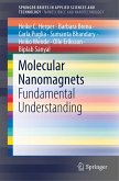 Molecular Nanomagnets