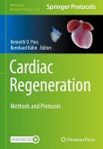 Cardiac Regeneration