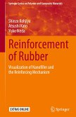 Reinforcement of Rubber