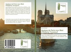 Analyse de Paris mon Bled d'Elalamy Youssouf - El Kadri, Zineb