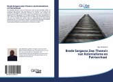 Brede Sargasso Zee: Thema's van Kolonialisme en Patriarchaat