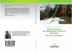Cover Kineticheskoe issledowanie sinteza ammiaka