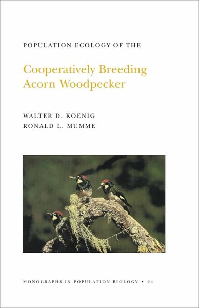 Population Ecology of the Cooperatively Breeding Acorn Woodpecker (eBook, PDF)