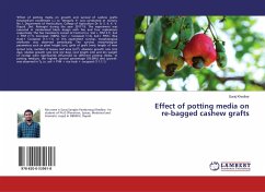 Effect of potting media on re-bagged cashew grafts