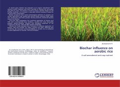 Biochar influence on aerobic rice