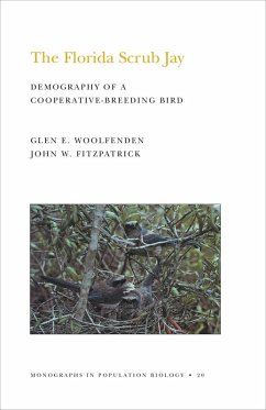 The Florida Scrub Jay (MPB-20), Volume 20 (eBook, PDF) - Woolfenden, Glen Everett; Fitzpatrick, John W.