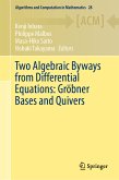 Two Algebraic Byways from Differential Equations: Gröbner Bases and Quivers (eBook, PDF)
