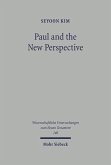 Paul and the New Perspective (eBook, PDF)
