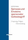 Spinozas und Einsteins apersonaler Gottesbegriff - Ursprung, Folgen, Überwindung
