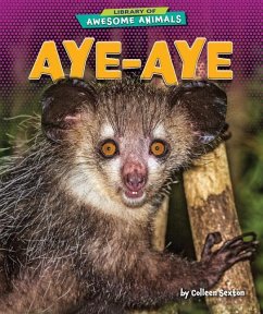 Aye-Aye - Sexton, Colleen