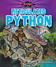 Reticulated Python - Boutland, Craig