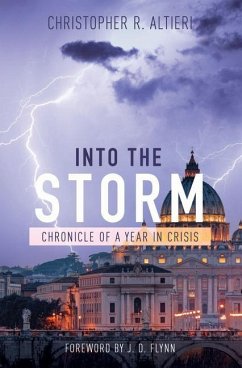 Into the Storm - Altieri, Christopher R