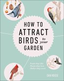 How to Attract Birds to Your Garden: Foods They Like, Plants They Love, Shelter They Need