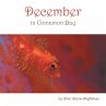 December in Cinnamon Bay - Bild 1