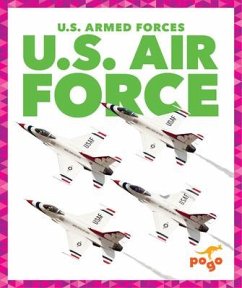 U.S. Air Force - Morey, Allan