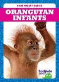 Orangutan Infants