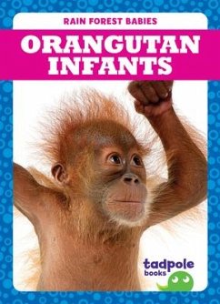 Orangutan Infants - Nilsen, Genevieve