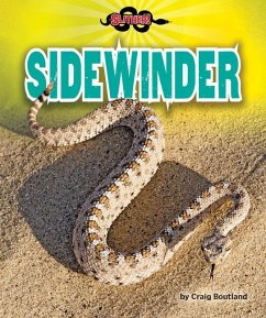 Sidewinder - Boutland, Craig