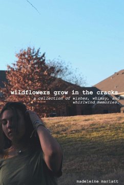 wildflowers grow in the cracks - Marlatt, Madeleine